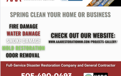 Spring Clean Your Home and Business